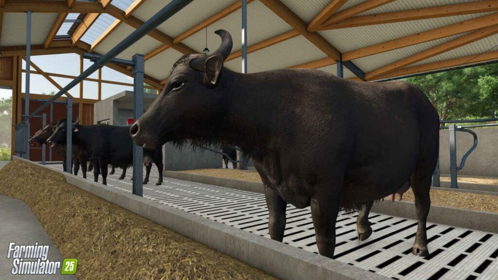 Buffaloes in Farming Simulator 25